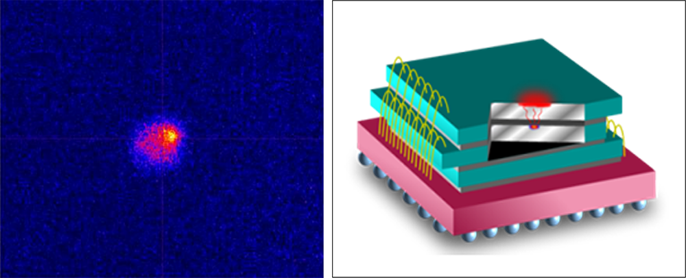 08 (2)